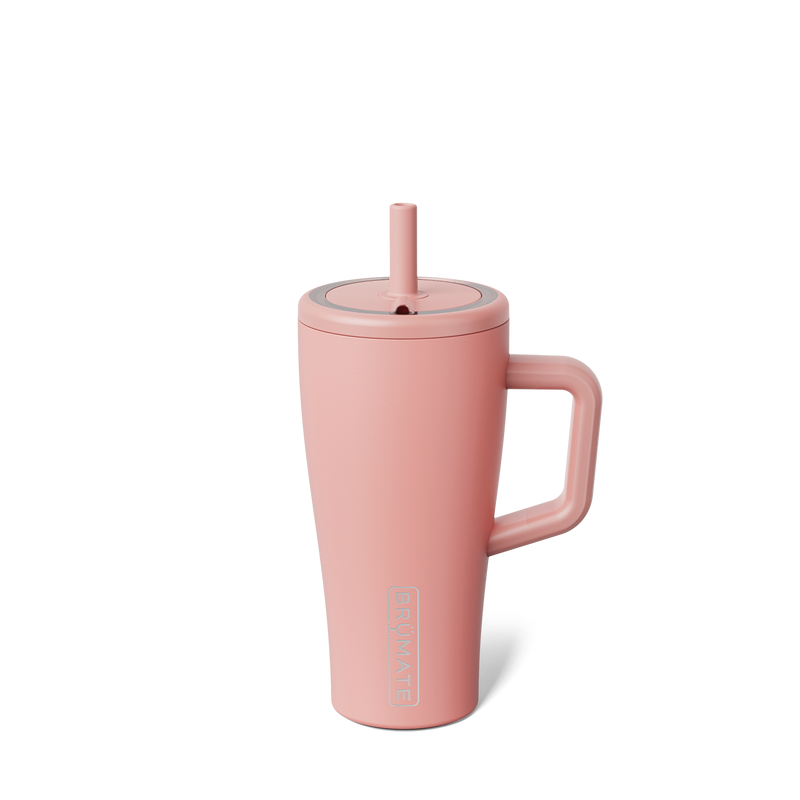 Era 20oz | Guava D3