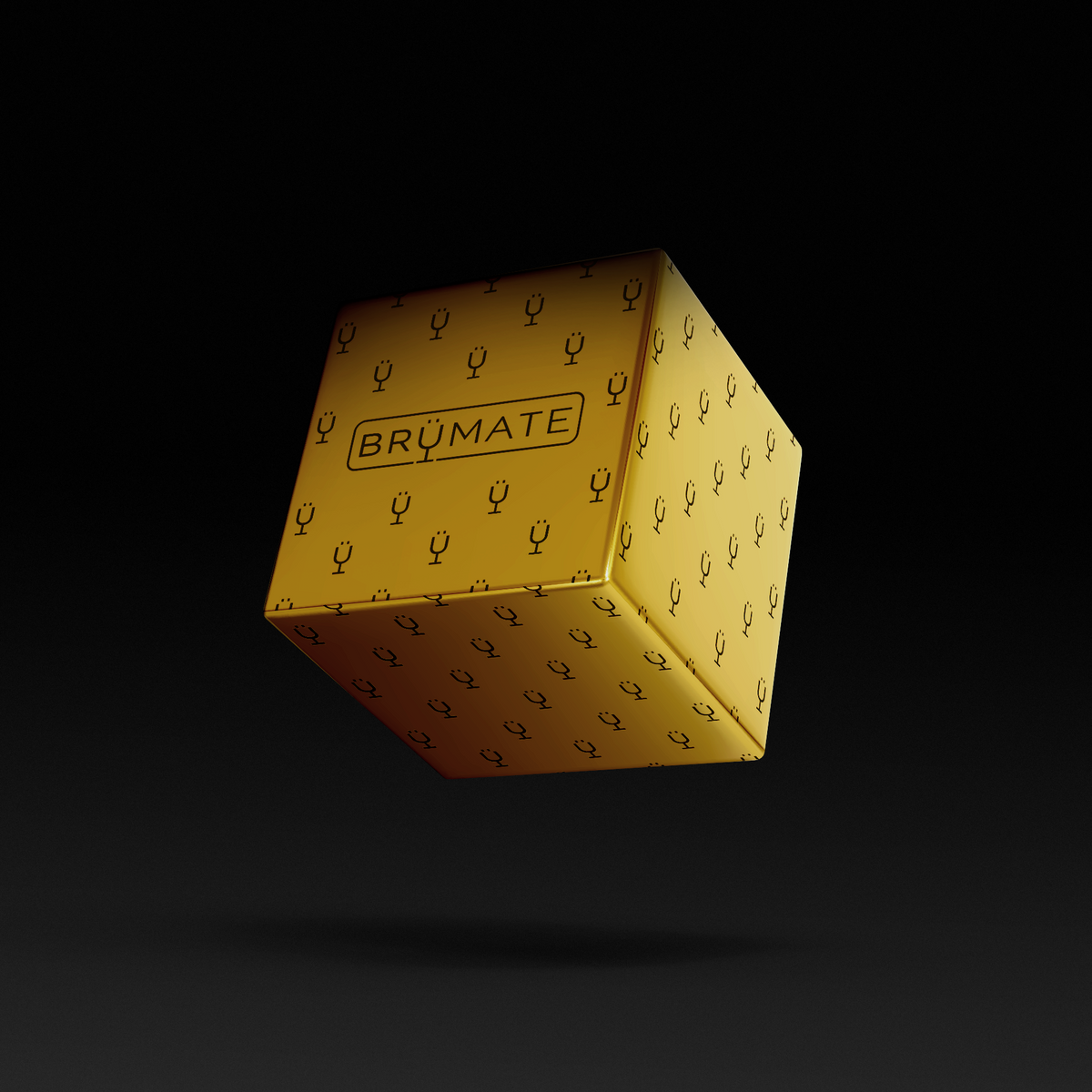 Premium Mystery Item ($39-70 Value) A8
