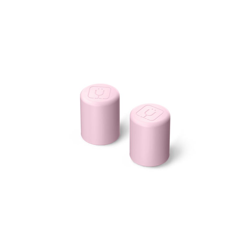 Magnetic Straw Cover | Wildflower Whisper | 2-Pack L1